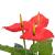 Plantă artificială Anthurium cu ghiveci, 90 cm, roșu și galben GartenMobel Dekor