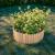 Gard de gradina decorativ din lemn, natur, 200x20 cm GartenVIP DiyLine