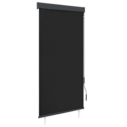 Jaluzea tip rulou de exterior, antracit, 100 x 250 cm GartenMobel Dekor