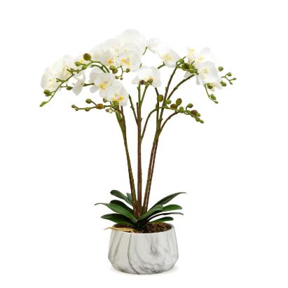 Decorațiune cu plantă artificială – Orhidee albă – 58 cm Best CarHome