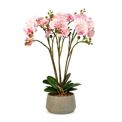 Decorațiune cu plantă artificială – Orhidee roz – 58 cm Best CarHome
