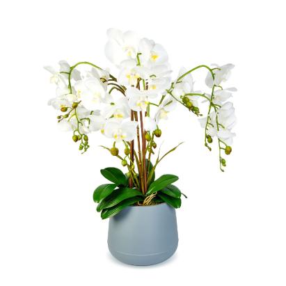 Decorațiune cu plantă artificială – Orhidee albă – 83 cm Best CarHome
