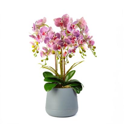 Decorațiune cu plantă artificială – Orhidee mov – 83 cm Best CarHome