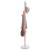 Cuier de haine, roz, 172 cm, fier vopsit electrostatic GartenMobel Dekor
