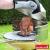 Suport de pui, Barbecook Essential GrillCooking