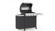 Gratar pe gaz STELLA 3221, Barbecook Essential GrillCooking