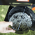 Grătar pe cărbuni Magnus Premium, Barbecook Essential GrillCooking