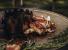 Grătar ceramic portabil (Kamado) pe cărbuni ICON, Monolith Essential GrillCooking
