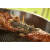 Rotisor pentru grătarele G2, G3, F60, RÖSLE Essential GrillCooking
