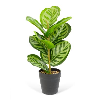 Plantă artificială decorativă - Frunză de zebră verde - 34 x 9 cm Best CarHome