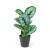 Plantă artificială decorativă - Frunză de zebră verde/alb - 34 x 9 cm Best CarHome