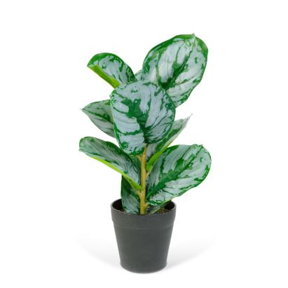 Plantă artificială decorativă - Frunză de zebră verde/alb - 34 x 9 cm Best CarHome