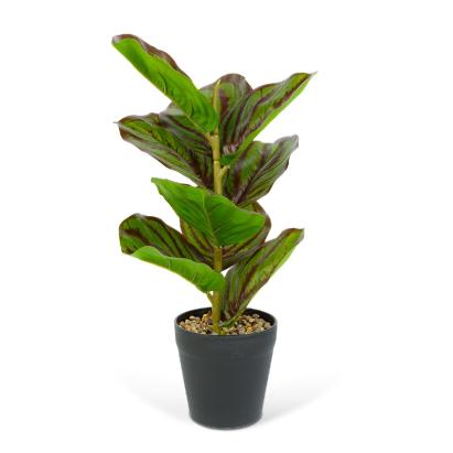 Plantă artificială decorativă - Frunză de zebră verde/negru - 34 x 9 cm Best CarHome