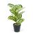 Plantă artificială decorativă - Frunză de zebră verde - 34 x 9 cm Best CarHome