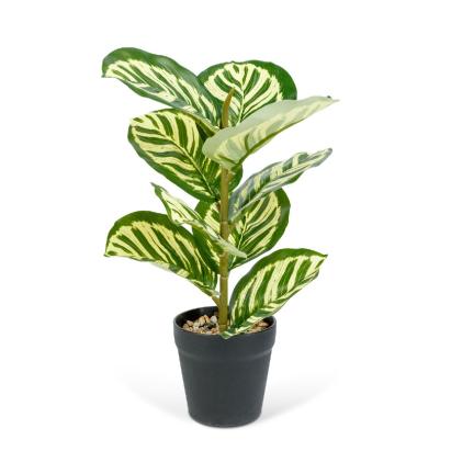 Plantă artificială decorativă - Frunză de zebră verde - 34 x 9 cm Best CarHome