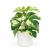 Plantă artificială decorativă - Filodendron verde/galben - 20 x 8 cm Best CarHome
