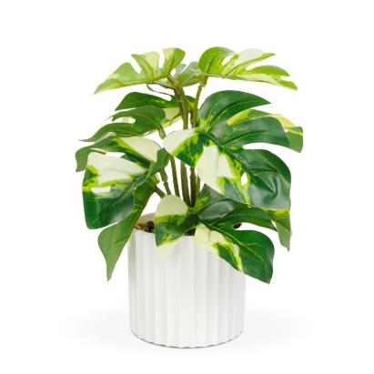 Plantă artificială decorativă - Filodendron verde/galben - 20 x 8 cm Best CarHome