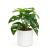 Plantă artificială decorativă - Filodendron verde - 20 x 8 cm Best CarHome