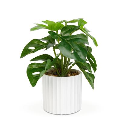 Plantă artificială decorativă - Filodendron verde - 20 x 8 cm Best CarHome