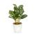 Plantă artificială decorativă - Fittonia - 20 x 9 cm Best CarHome