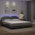 Cadru de pat cu lumini LED, gri, 180x200 cm, piele ecologică GartenMobel Dekor