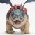 CUM SA ITI DRESEZI DRAGONUL SET DRAGON GRONCKLE SI FIGURINA VIKING FISHLEGS SuperHeroes ToysZone