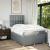 Pat box spring cu saltea, gri deschis, 120x190 cm, textil GartenMobel Dekor