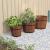 Set de jardiniere tip găleată, 3 piese, lemn masiv de brad GartenMobel Dekor