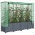 Strat înălțat cu husă de seră, aspect ratan, 160x40x138 cm GartenMobel Dekor