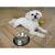 Castron Metalic pentru hranire animale de companie - 29cm FAVLine Selection