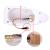 Antena auto activa AM - FM tip "SHARK TAIL" culoare SILVER FAVLine Selection