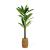 Plantă decorativă artificială Dracaena Fragrans – 1,1–1,2 m, verde Best CarHome