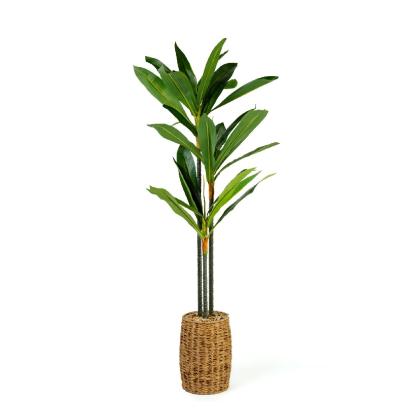Plantă decorativă artificială Dracaena Fragrans – 1,1–1,2 m, verde Best CarHome