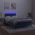 Pat box spring cu saltea/LED albastru închis 120x190cm catifea GartenMobel Dekor