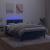 Pat box spring cu saltea/LED albastru închis 120x190cm catifea GartenMobel Dekor
