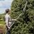 TRIMMER GARD VIU TELESCOPIC + DRUJBA 20V FARA ACC REBEL EuroGoods Quality