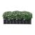 Jardiniera gradina Zevenaar 118 x 90 x 30 cm otel galvanizat [en.casa] HausGarden Leisure