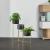 Suport plante Kieldrecht pliabil cu 3 ghivece galbenaramiu/negru [en.casa] HausGarden Leisure