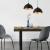 Set 2 bucati lustra ToulonS 60W metal/negru auriu [lux.pro] HausGarden Leisure