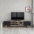 Comoda TV Assens 40 x 160 x 31 cm stejar negru cu 2 usi si 3 rafturi [en.casa] HausGarden Leisure