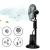 Ventilator cu Pulverizare Vapori de Apa si Umidificare, Negru, Putere 75W, Diametru 40cm, 3 Viteze