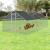Cotet de exterior Bird 3 x 6 x 2 m otel/polietilena argintiu/verde inchis [pro.tec] HausGarden Leisure