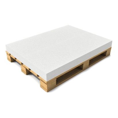 [neu.haus]® Saltea burete fara husa pentru mobilier paleti gradina HTSK-2203, poliuretan, 120 x 80 x 10 cm - alb HausGarden Leisure