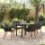 Set mese grădină 5 piese Negru Ratan Poly GartenMobel Dekor