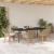 Set de dining pentru grădină 7 piese Bej din Ratan GartenMobel Dekor