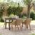 Set de dining pentru grădină 5 piese Bej Ratan Poliat GartenMobel Dekor