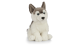 Catelus de plus Husky PlayLearn Toys