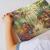 Puzzle - Floraria (300 piese) PlayLearn Toys