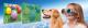 Set STEM - Descopera lumea prin alti ochi PlayLearn Toys