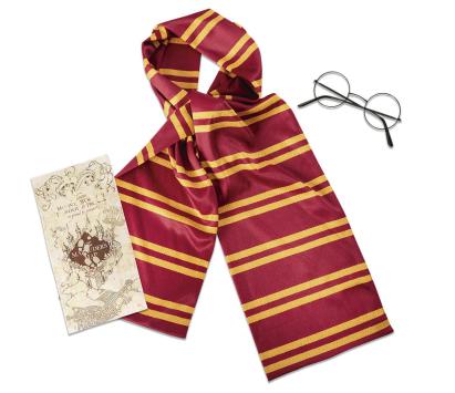 Accesorii Harry Potter - Esarfa, ochelari & harta PlayLearn Toys